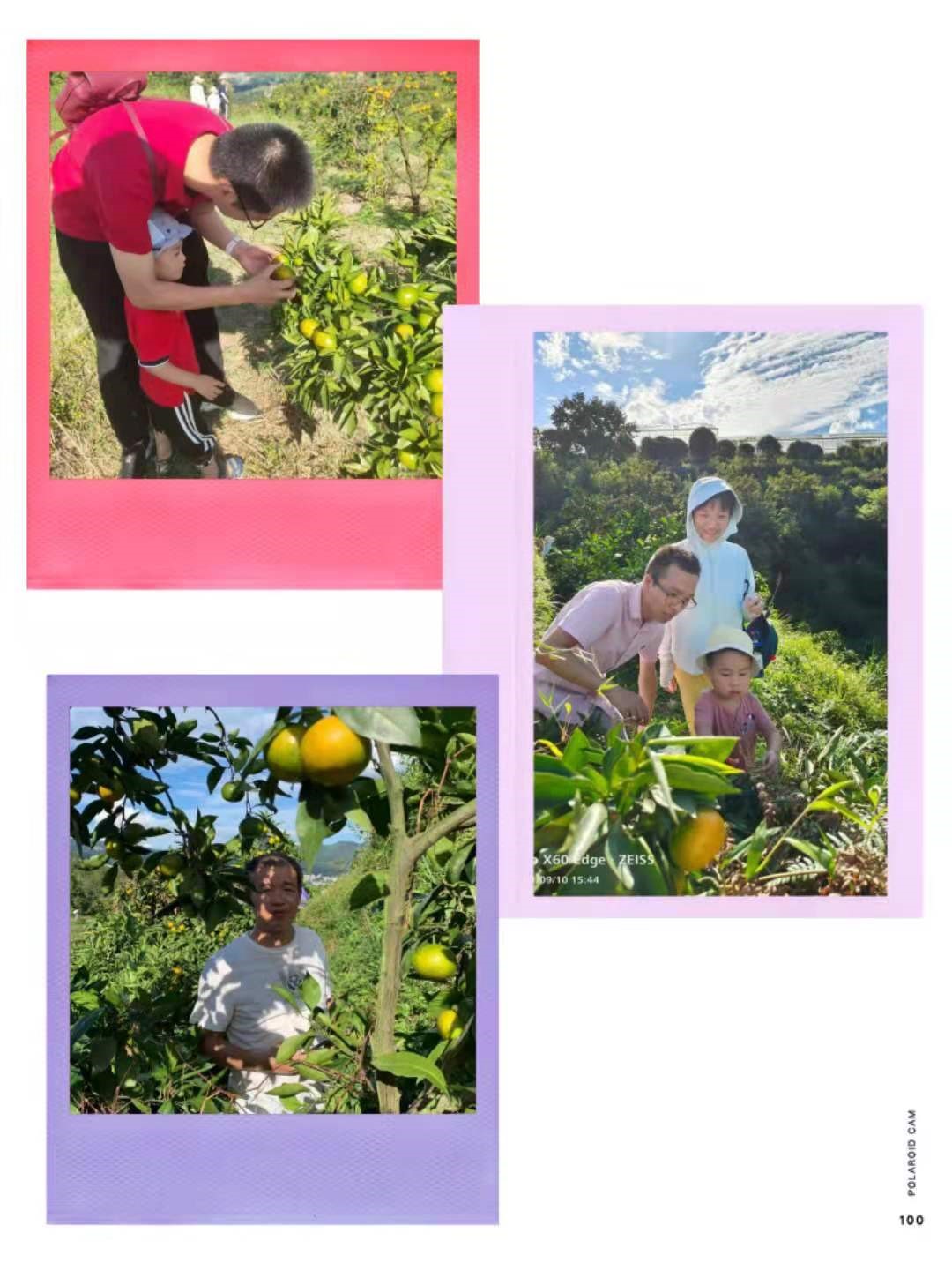 1631356299843035.jpg 2-3.jpg